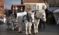 Marche De Noel   055